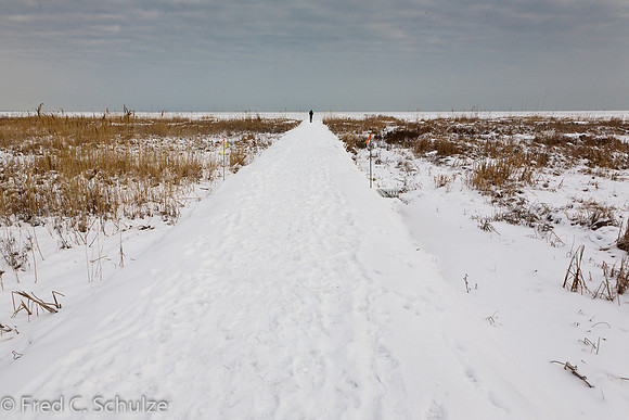 120115_003