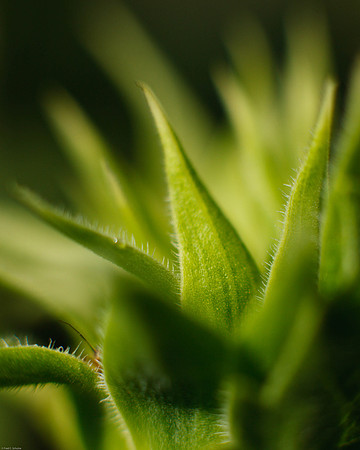 100623_053