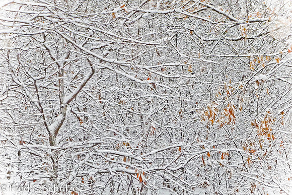 121225_078