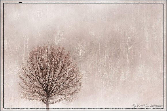 091231_032-4-web